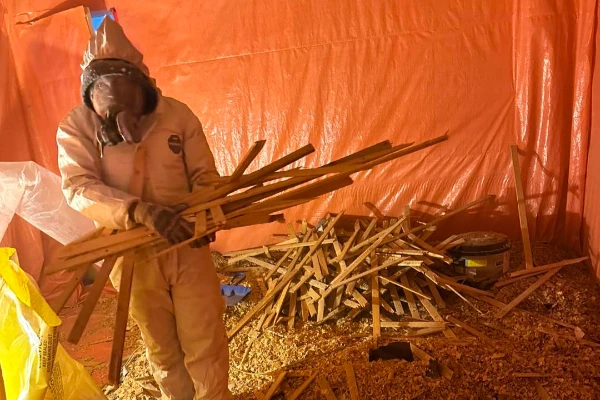 Professional asbestos testing service