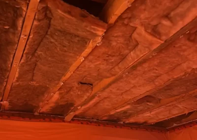 Reliable Asbestos Testing Service