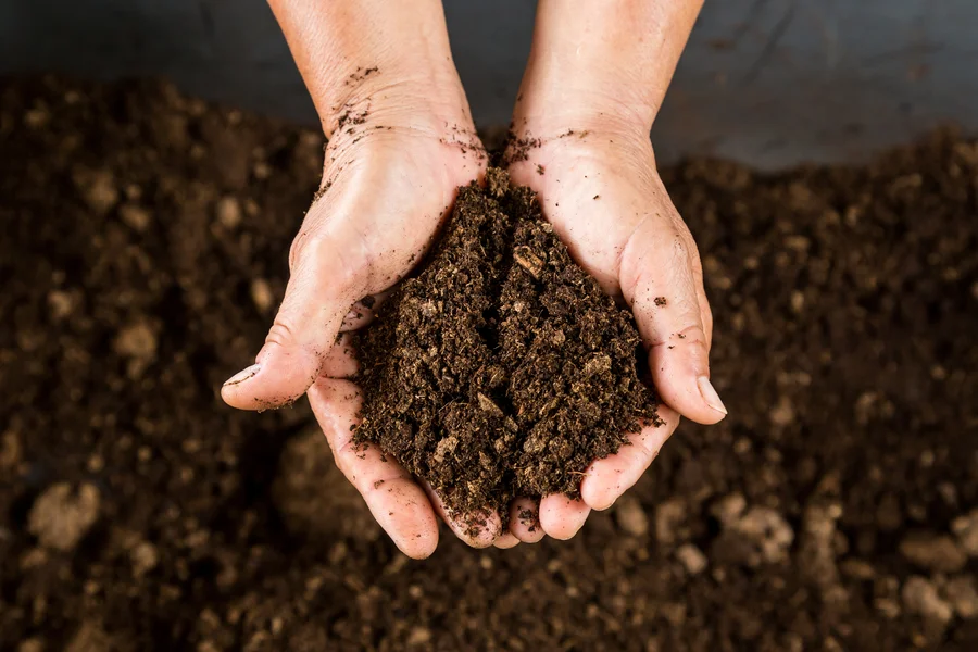 Ensuring Property Safety With Professional Soil Testing in Edmonton, AB