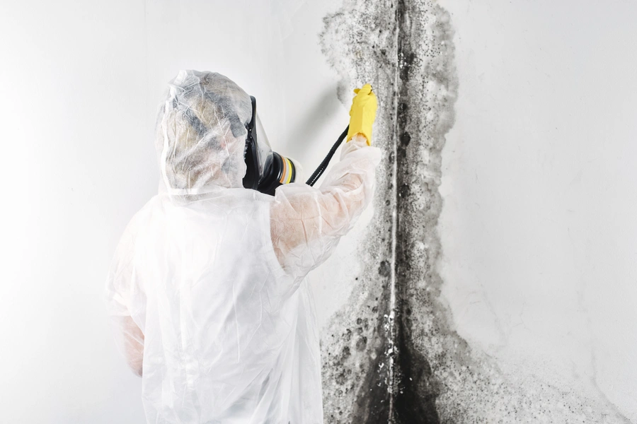 How Mold Removal Reduces Health Risks In Asbestos Areas in Edmonton, AB