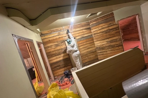 Mold Remediation