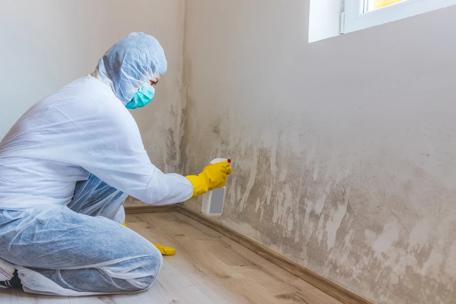 Quality Mold Remediation Edmonton, AB